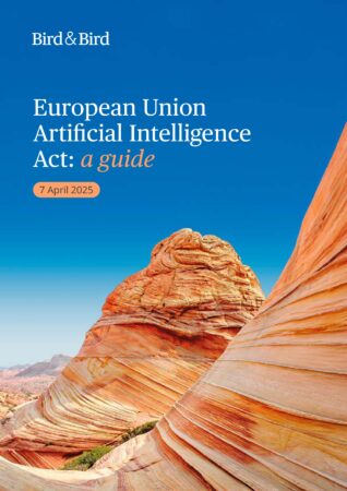 European Union Artificial Intelligence Act Guide