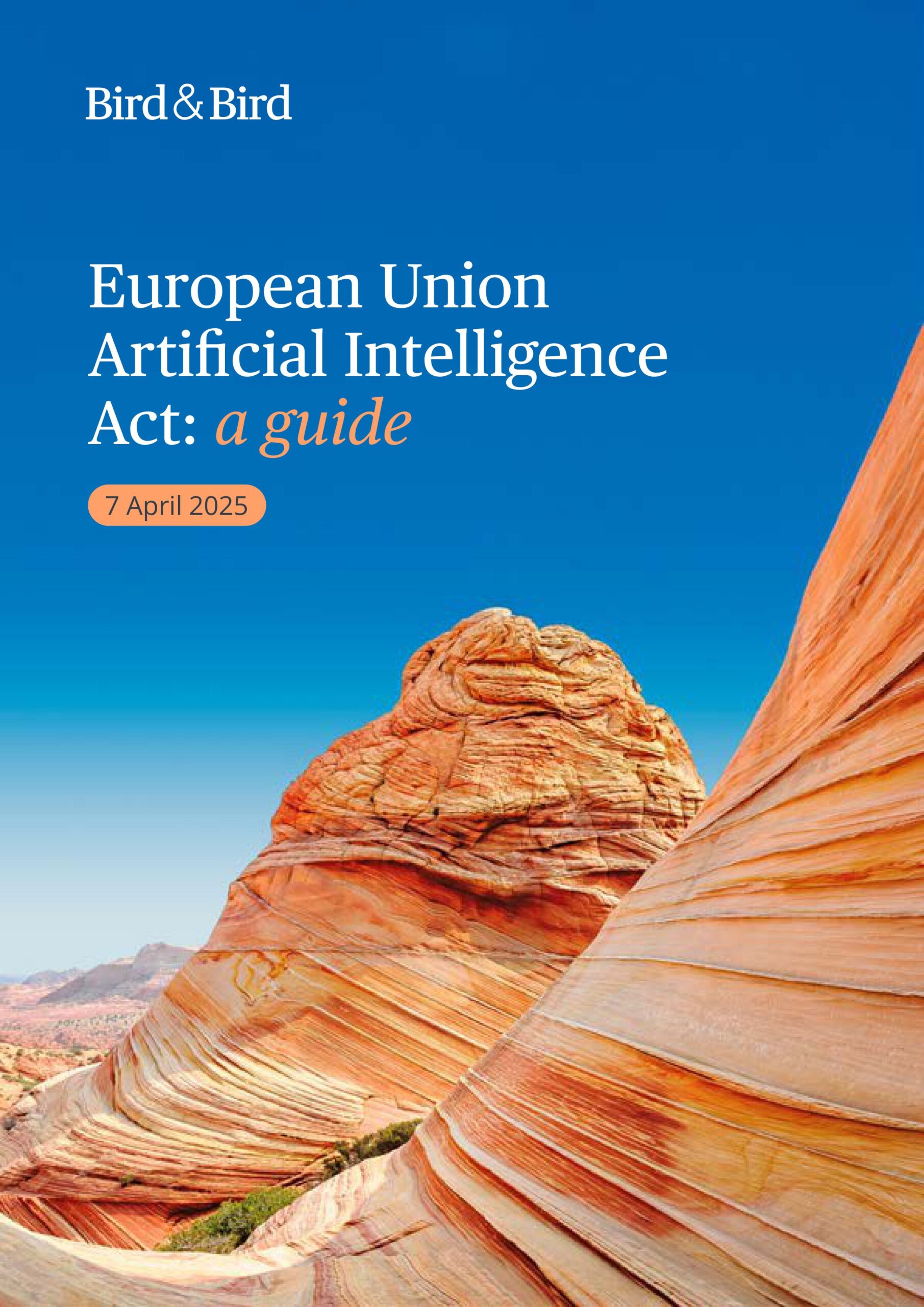 European Union Artificial Intelligence Act Guide (1)-images-0