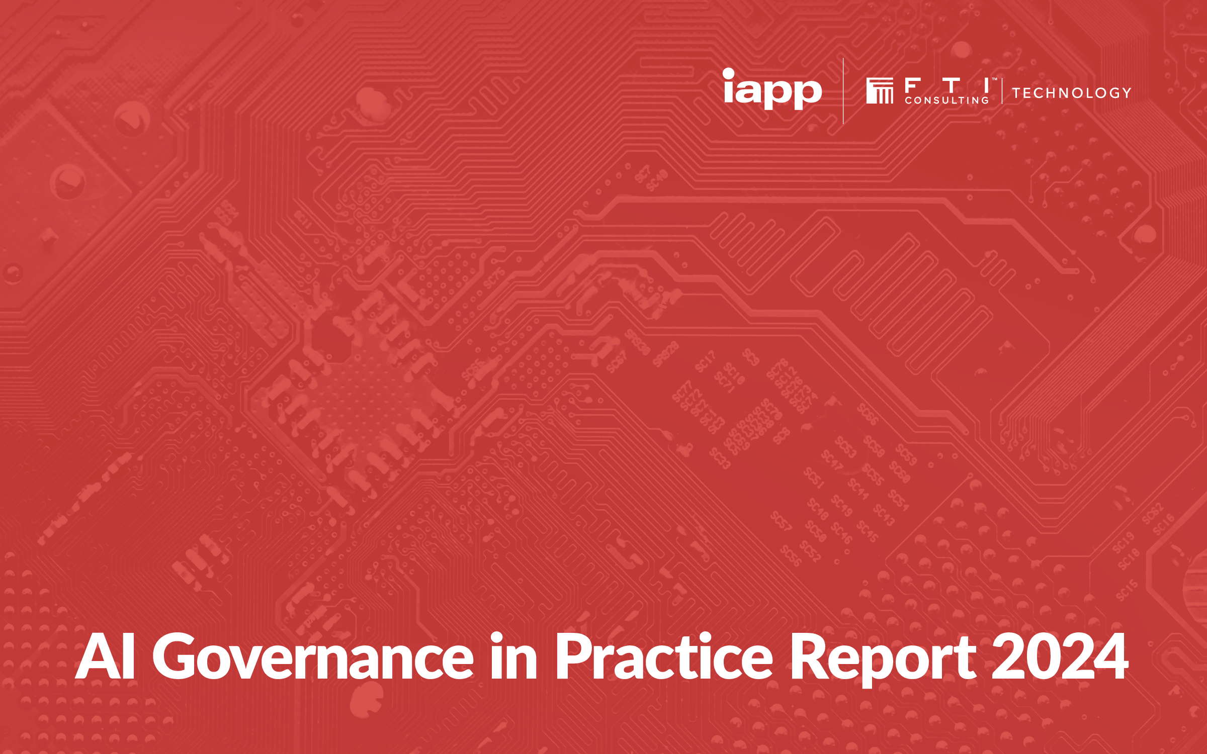 ai governance in practice report 2024 1 001